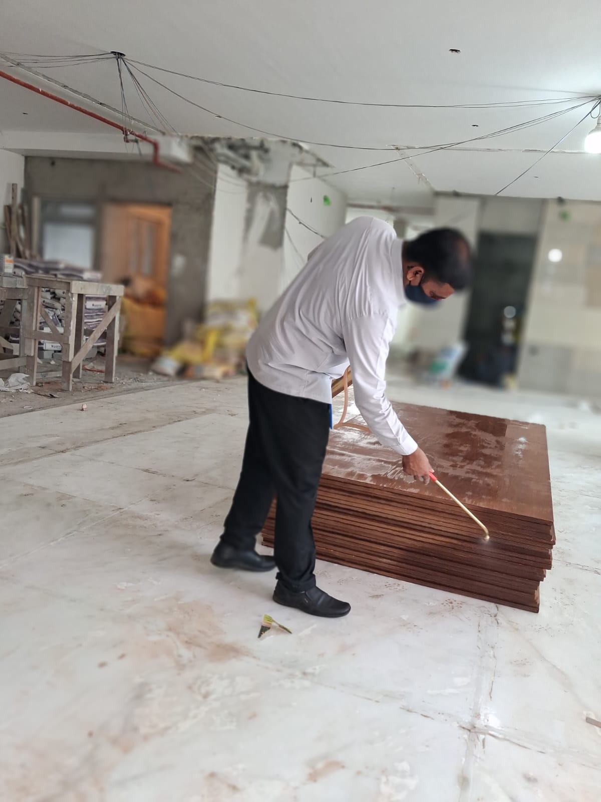 Professional Pest Control Team